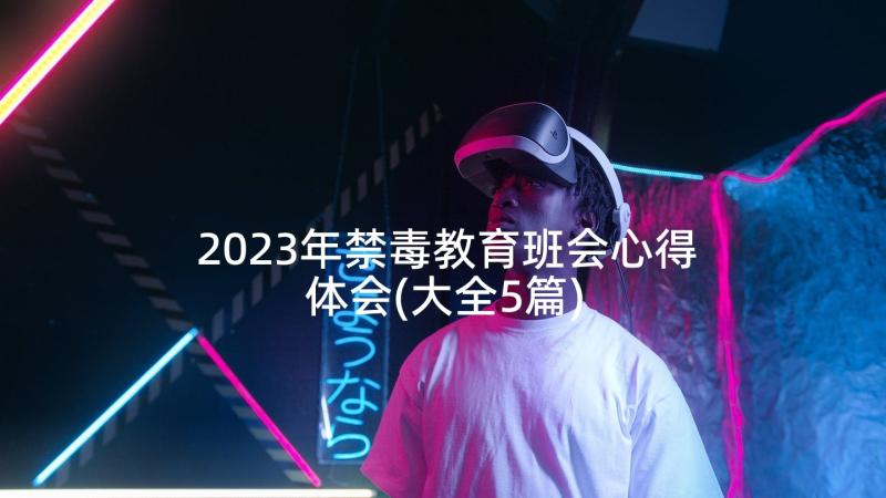 2023年禁毒教育班会心得体会(大全5篇)