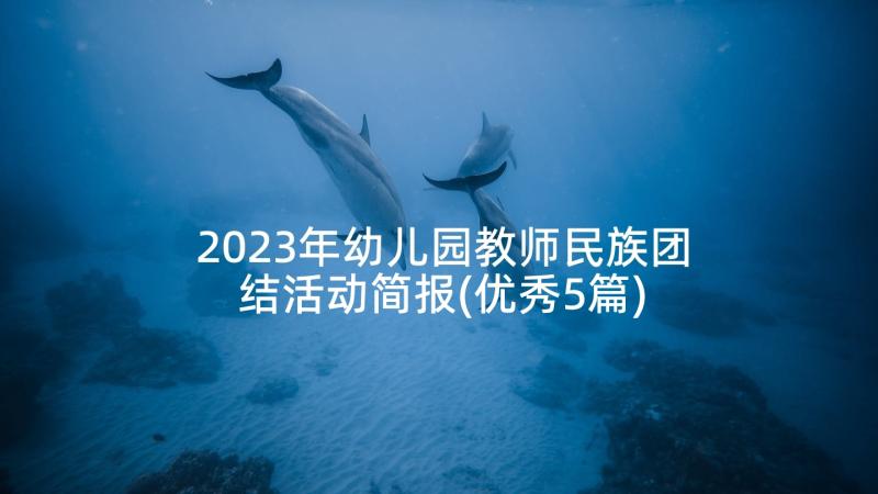 2023年幼儿园教师民族团结活动简报(优秀5篇)