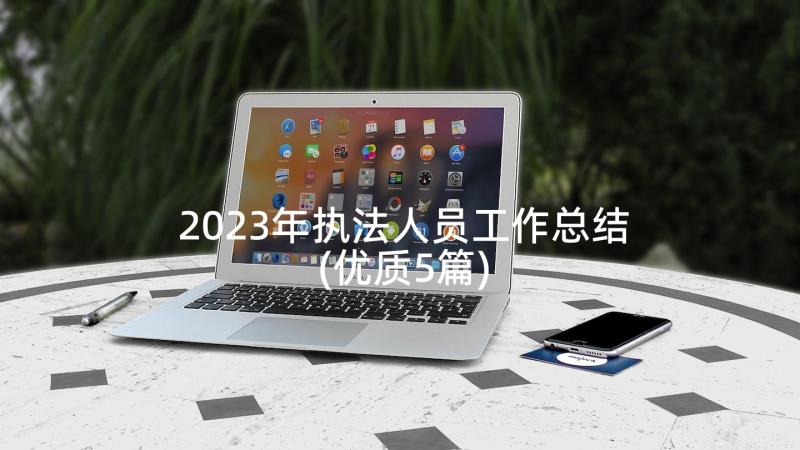 2023年执法人员工作总结(优质5篇)