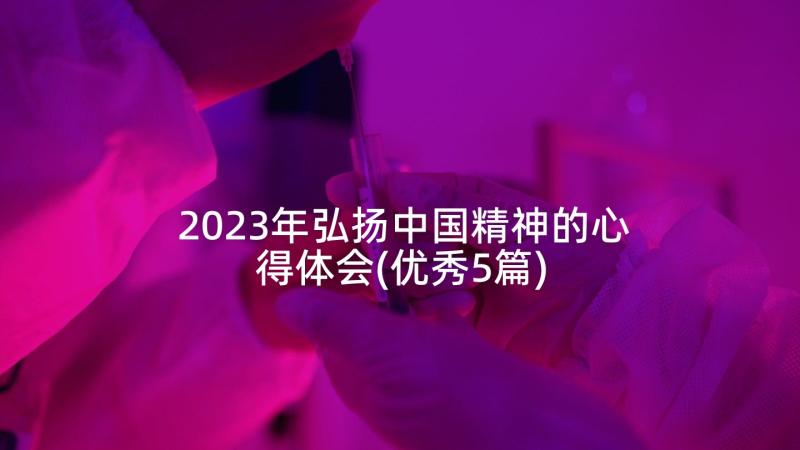 2023年弘扬中国精神的心得体会(优秀5篇)