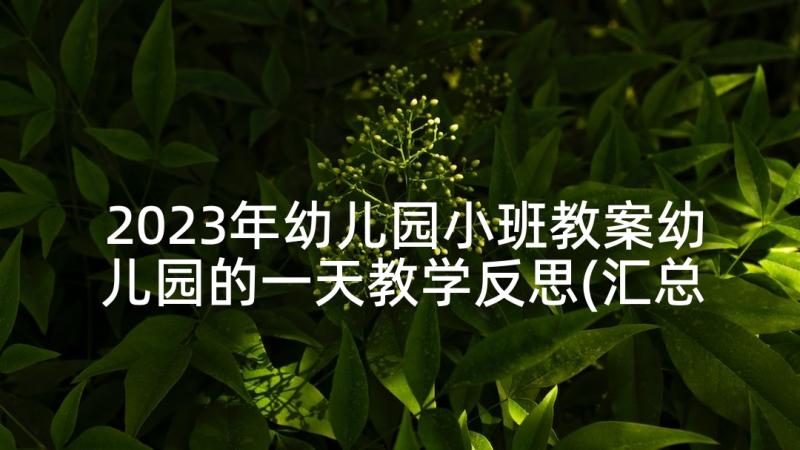 2023年幼儿园小班教案幼儿园的一天教学反思(汇总7篇)