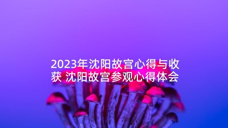 2023年沈阳故宫心得与收获 沈阳故宫参观心得体会(大全5篇)