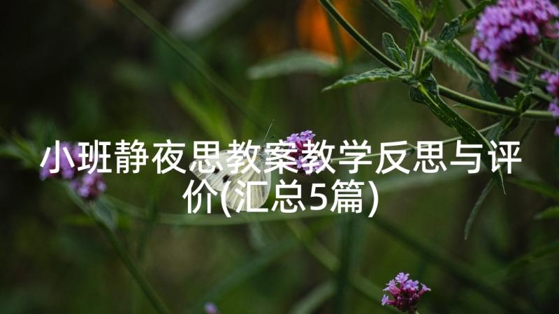 小班静夜思教案教学反思与评价(汇总5篇)