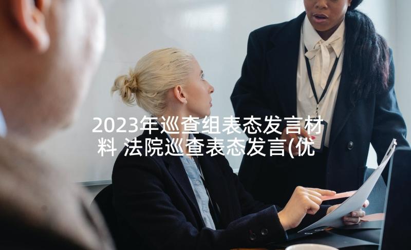 2023年巡查组表态发言材料 法院巡查表态发言(优秀8篇)