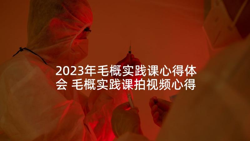 2023年毛概实践课心得体会 毛概实践课拍视频心得体会(实用5篇)