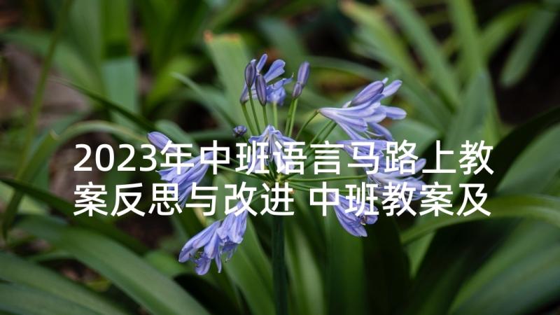 2023年中班语言马路上教案反思与改进 中班教案及教学反思马路上的汽车(模板5篇)