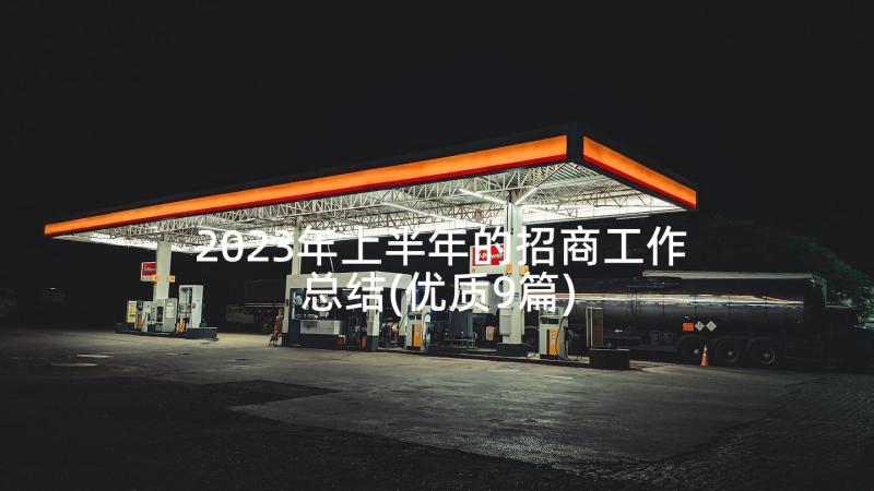 2023年上半年的招商工作总结(优质9篇)