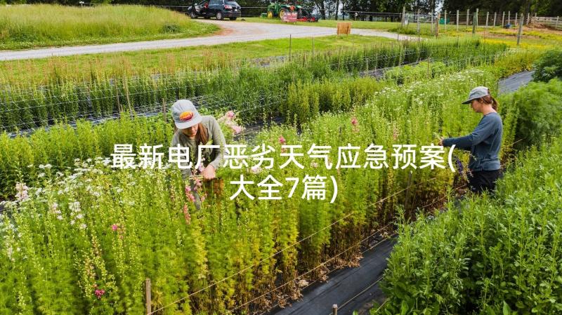 最新电厂恶劣天气应急预案(大全7篇)