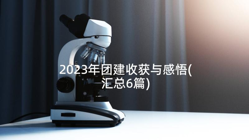 2023年团建收获与感悟(汇总6篇)