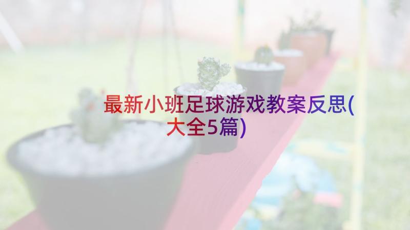 最新小班足球游戏教案反思(大全5篇)