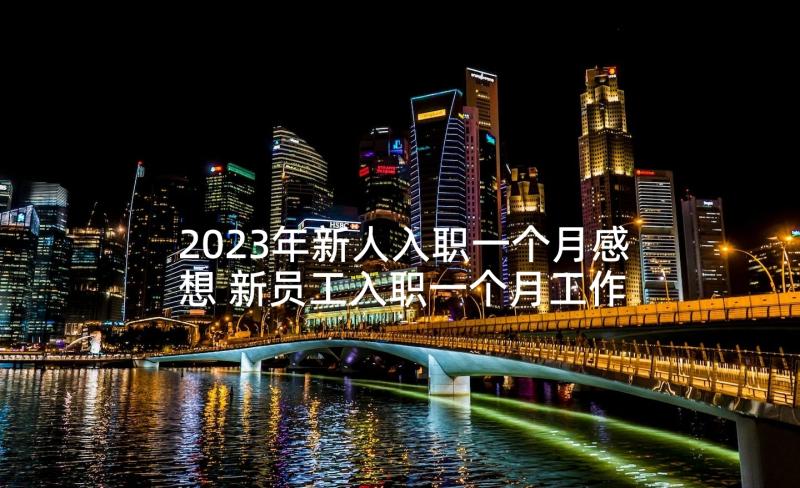 2023年新人入职一个月感想 新员工入职一个月工作总结(模板5篇)