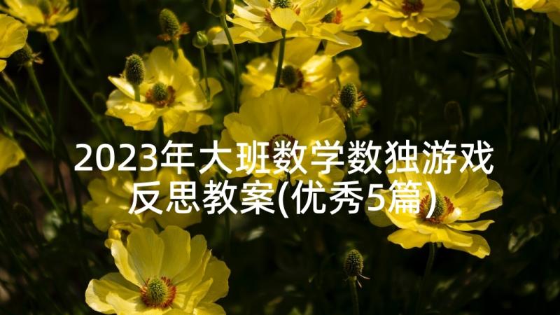 2023年大班数学数独游戏反思教案(优秀5篇)