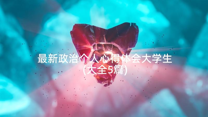 最新政治个人心得体会大学生(大全5篇)