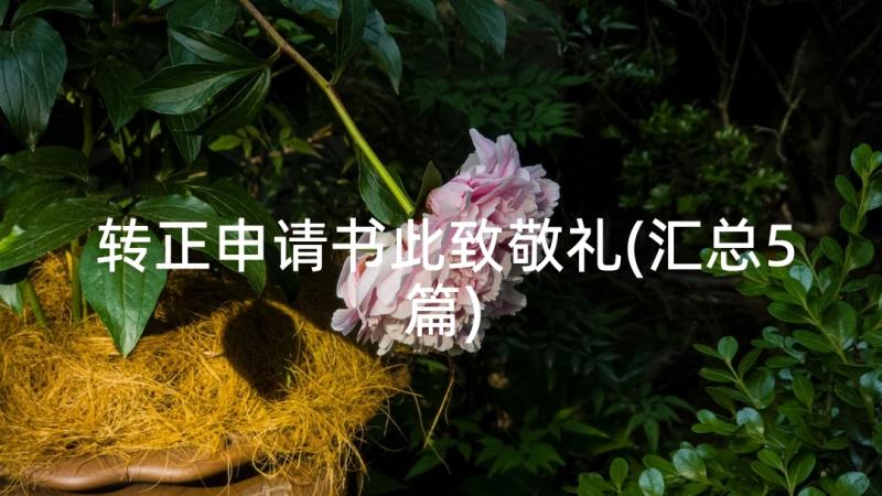 转正申请书此致敬礼(汇总5篇)