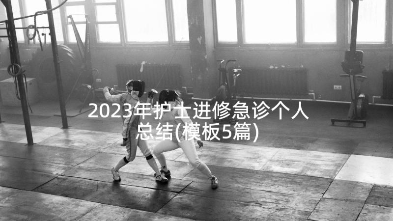 2023年护士进修急诊个人总结(模板5篇)