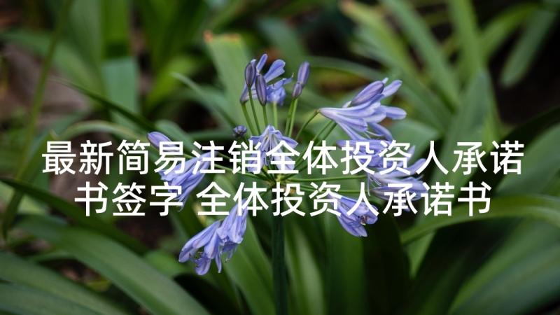 最新简易注销全体投资人承诺书签字 全体投资人承诺书(汇总8篇)