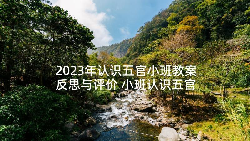 2023年认识五官小班教案反思与评价 小班认识五官教案(精选7篇)