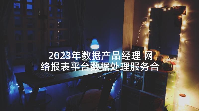 2023年数据产品经理 网络报表平台数据处理服务合同(大全9篇)