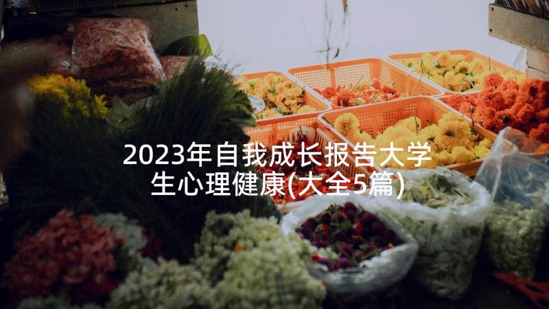 2023年自我成长报告大学生心理健康(大全5篇)