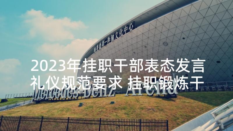 2023年挂职干部表态发言礼仪规范要求 挂职锻炼干部代表表态发言稿(通用7篇)