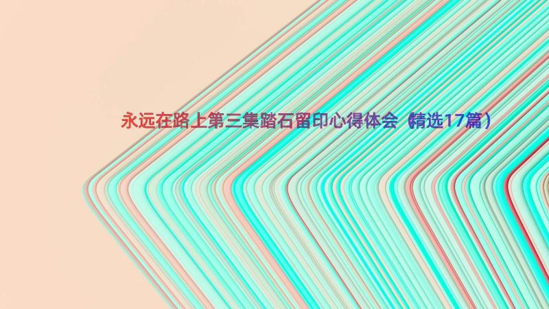 永远在路上第三集踏石留印心得体会（精选17篇）