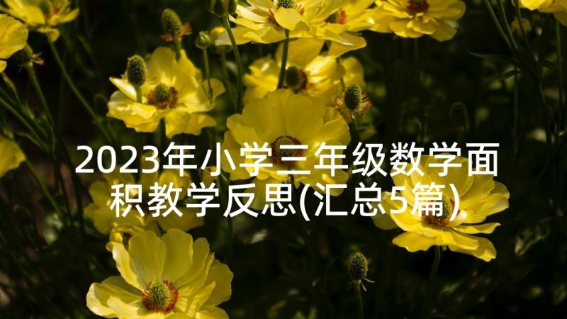 2023年小学三年级数学面积教学反思(汇总5篇)