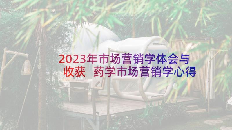 2023年市场营销学体会与收获 药学市场营销学心得体会(优质6篇)