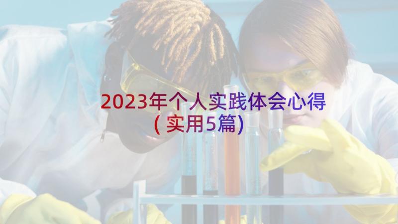 2023年个人实践体会心得(实用5篇)