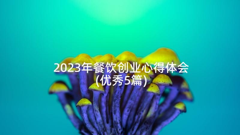 2023年餐饮创业心得体会(优秀5篇)