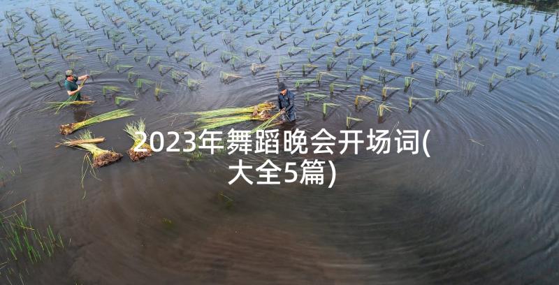 2023年舞蹈晚会开场词(大全5篇)