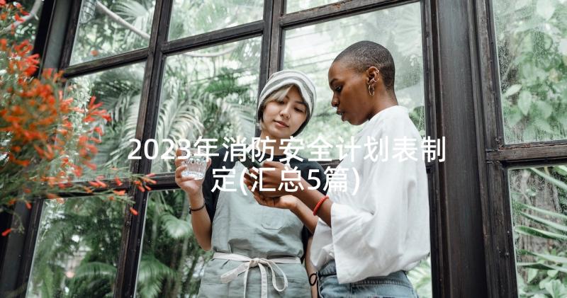 2023年消防安全计划表制定(汇总5篇)