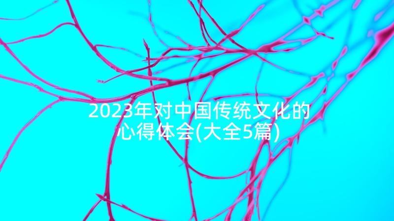 2023年对中国传统文化的心得体会(大全5篇)