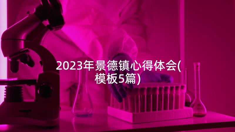 2023年景德镇心得体会(模板5篇)