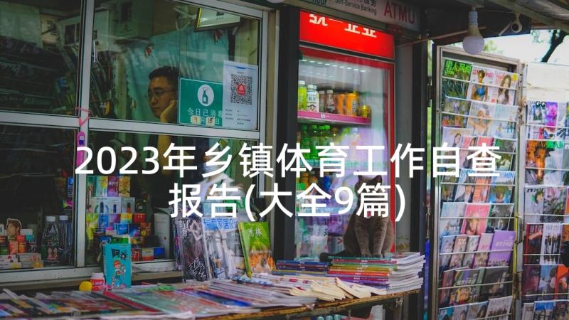 2023年乡镇体育工作自查报告(大全9篇)