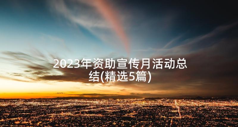 2023年资助宣传月活动总结(精选5篇)