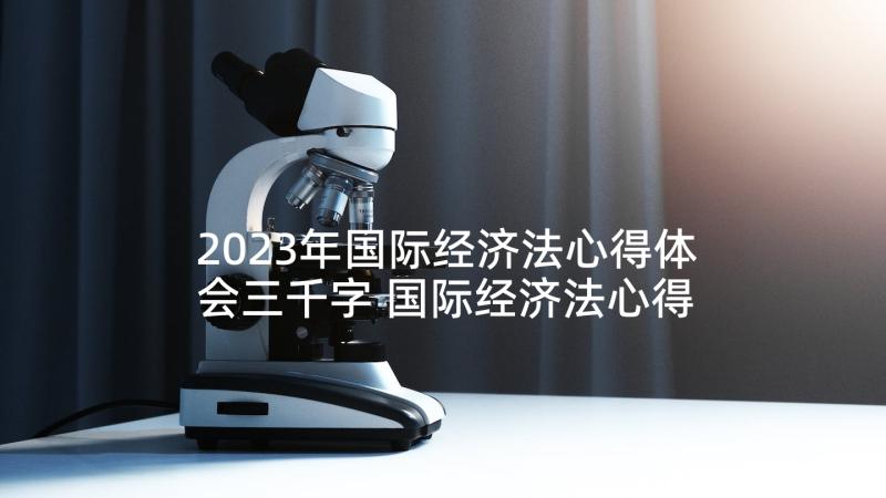 2023年国际经济法心得体会三千字 国际经济法心得体会(模板5篇)