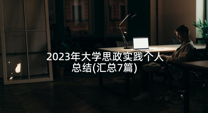 2023年大学思政实践个人总结(汇总7篇)