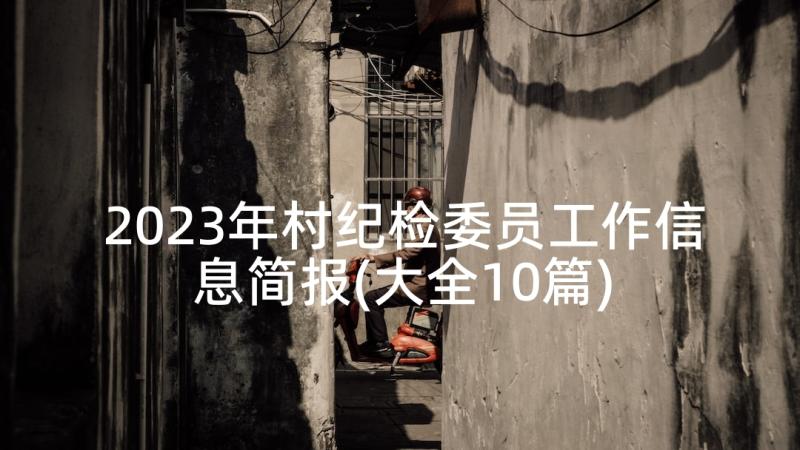 2023年村纪检委员工作信息简报(大全10篇)
