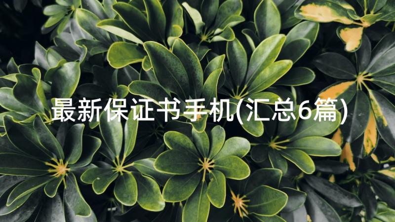 最新保证书手机(汇总6篇)