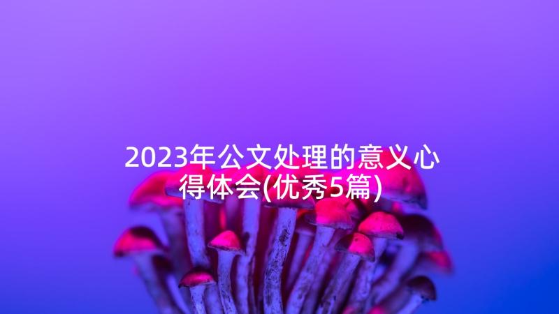 2023年公文处理的意义心得体会(优秀5篇)