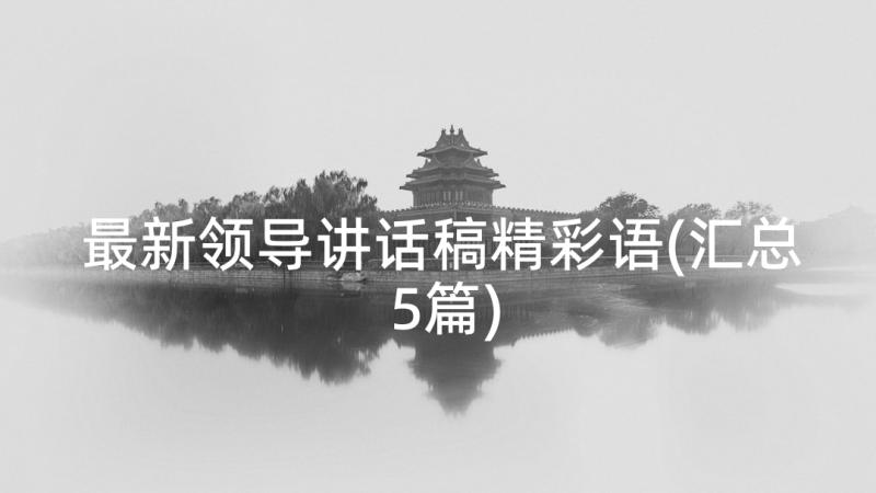 最新领导讲话稿精彩语(汇总5篇)