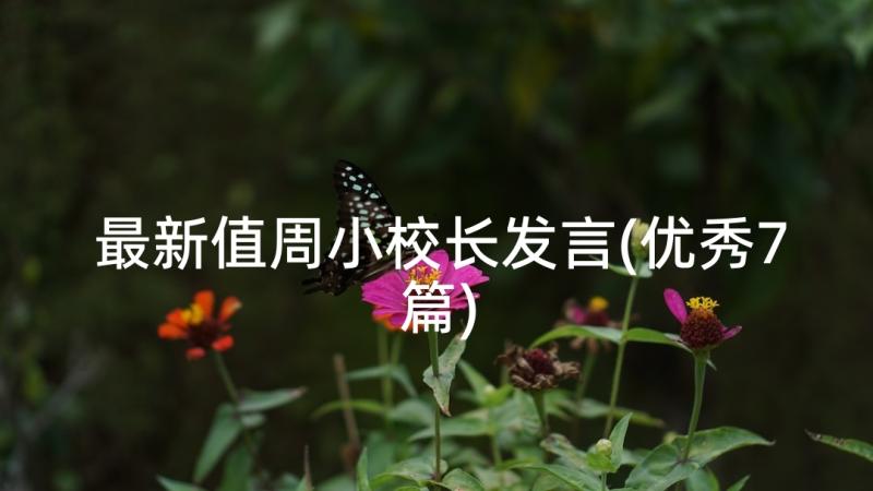 最新值周小校长发言(优秀7篇)