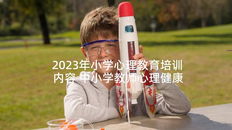 2023年小学心理教育培训内容 中小学教师心理健康教育培训心得体会(优质5篇)