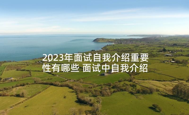 2023年面试自我介绍重要性有哪些 面试中自我介绍的重要性及要点(模板5篇)