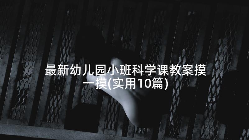 最新幼儿园小班科学课教案摸一摸(实用10篇)