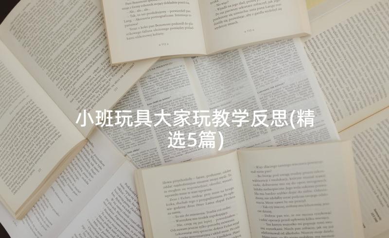 小班玩具大家玩教学反思(精选5篇)