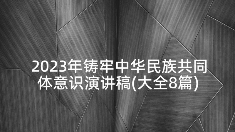 2023年铸牢中华民族共同体意识演讲稿(大全8篇)