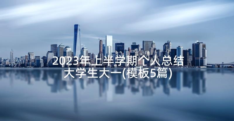 2023年上半学期个人总结大学生大一(模板5篇)