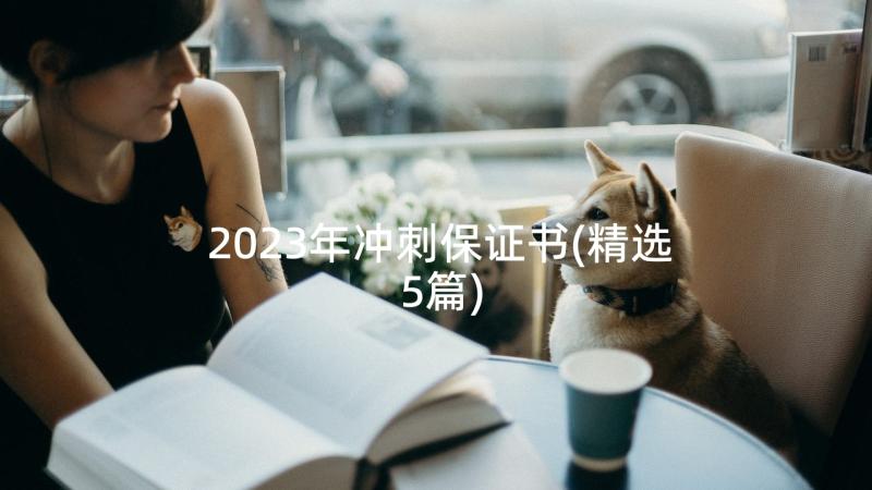 2023年冲刺保证书(精选5篇)