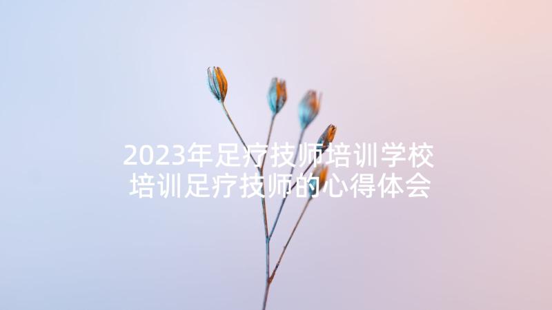 2023年足疗技师培训学校 培训足疗技师的心得体会(优秀5篇)